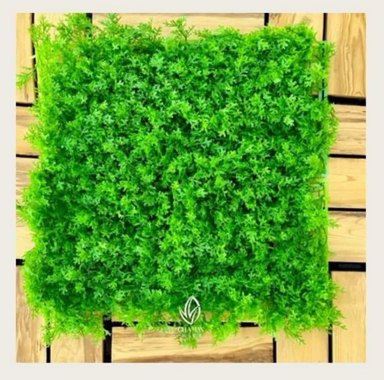 گرین وال تایلی شمشاد گلریز 0/50 * 0/50